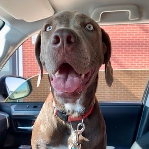 Meet your Posher, Crystal